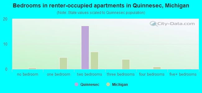 Bedrooms in renter-occupied apartments in Quinnesec, Michigan