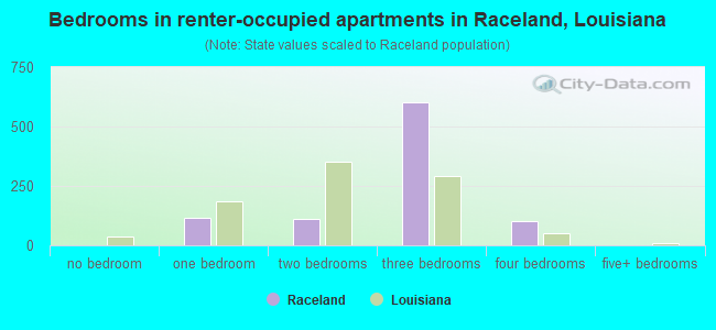 Bedrooms in renter-occupied apartments in Raceland, Louisiana