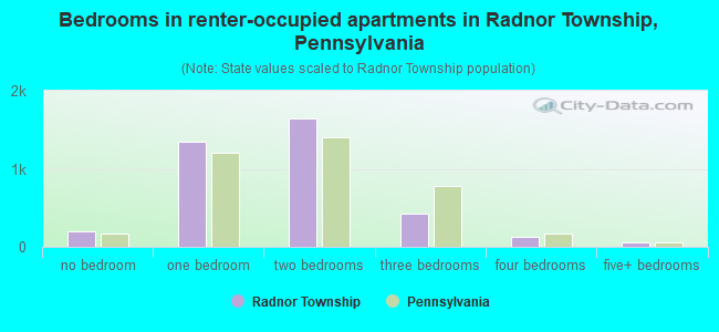 Bedrooms in renter-occupied apartments in Radnor Township, Pennsylvania