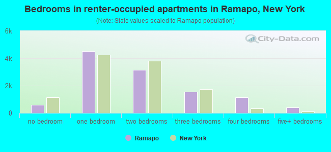Bedrooms in renter-occupied apartments in Ramapo, New York