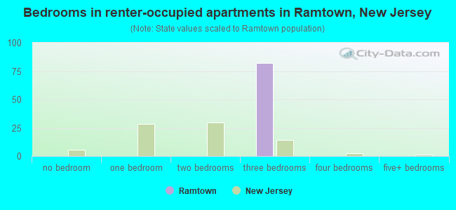 Bedrooms in renter-occupied apartments in Ramtown, New Jersey