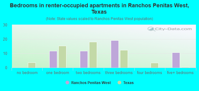 Bedrooms in renter-occupied apartments in Ranchos Penitas West, Texas
