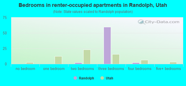 Bedrooms in renter-occupied apartments in Randolph, Utah
