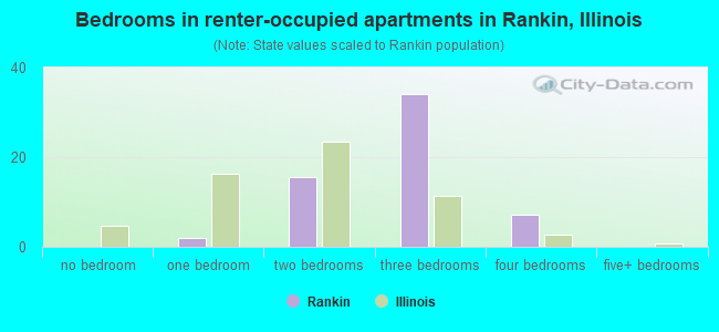 Bedrooms in renter-occupied apartments in Rankin, Illinois
