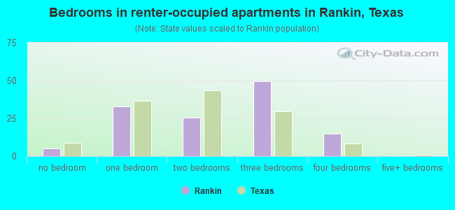 Bedrooms in renter-occupied apartments in Rankin, Texas