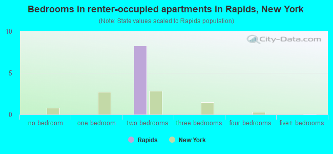 Bedrooms in renter-occupied apartments in Rapids, New York