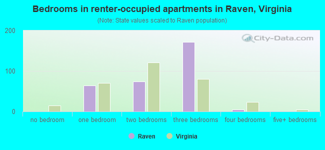 Bedrooms in renter-occupied apartments in Raven, Virginia