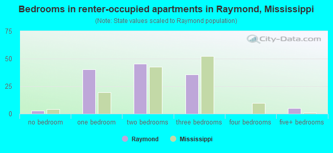 Bedrooms in renter-occupied apartments in Raymond, Mississippi