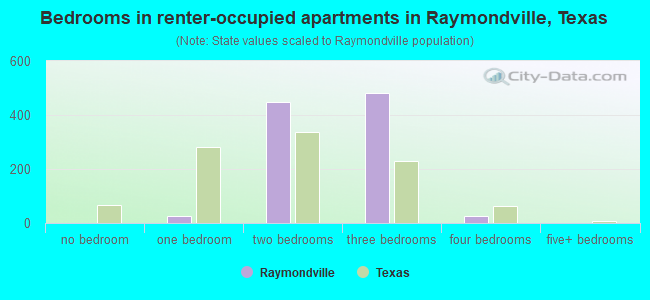 Bedrooms in renter-occupied apartments in Raymondville, Texas