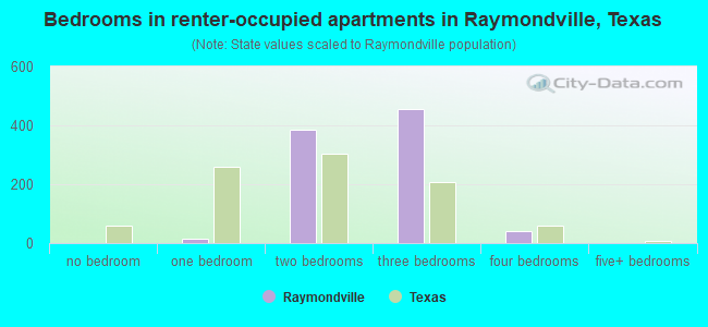 Bedrooms in renter-occupied apartments in Raymondville, Texas