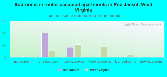 Bedrooms in renter-occupied apartments in Red Jacket, West Virginia