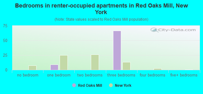 Bedrooms in renter-occupied apartments in Red Oaks Mill, New York