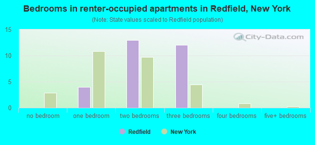 Bedrooms in renter-occupied apartments in Redfield, New York
