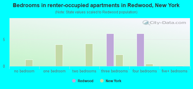 Bedrooms in renter-occupied apartments in Redwood, New York