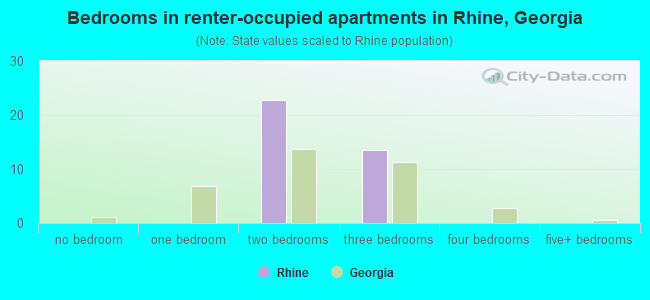 Bedrooms in renter-occupied apartments in Rhine, Georgia