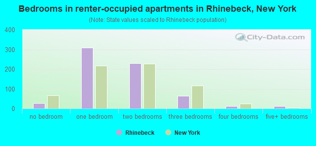 Bedrooms in renter-occupied apartments in Rhinebeck, New York