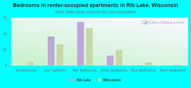 Bedrooms in renter-occupied apartments in Rib Lake, Wisconsin