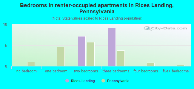 Bedrooms in renter-occupied apartments in Rices Landing, Pennsylvania