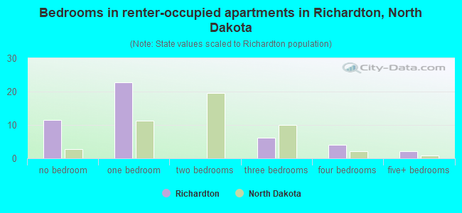 Bedrooms in renter-occupied apartments in Richardton, North Dakota