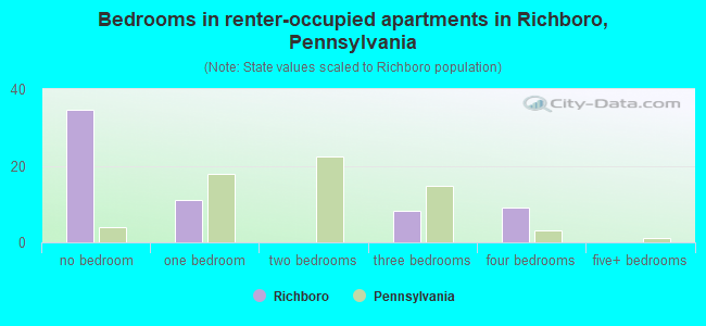 Bedrooms in renter-occupied apartments in Richboro, Pennsylvania