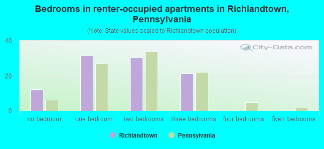Bedrooms in renter-occupied apartments in Richlandtown, Pennsylvania