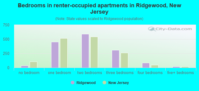 Bedrooms in renter-occupied apartments in Ridgewood, New Jersey