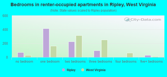 Bedrooms in renter-occupied apartments in Ripley, West Virginia