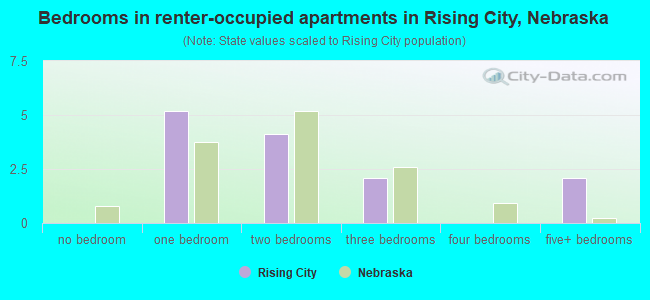 Bedrooms in renter-occupied apartments in Rising City, Nebraska