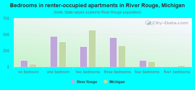 Bedrooms in renter-occupied apartments in River Rouge, Michigan