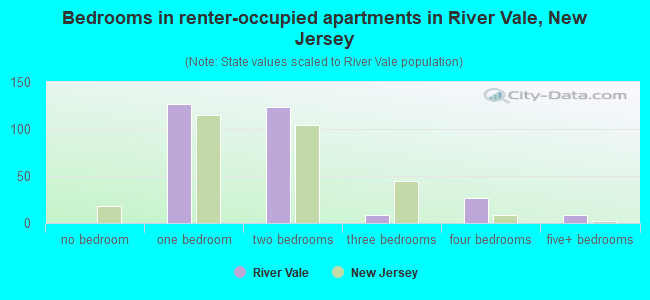 Bedrooms in renter-occupied apartments in River Vale, New Jersey