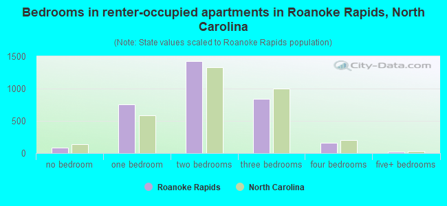 Bedrooms in renter-occupied apartments in Roanoke Rapids, North Carolina