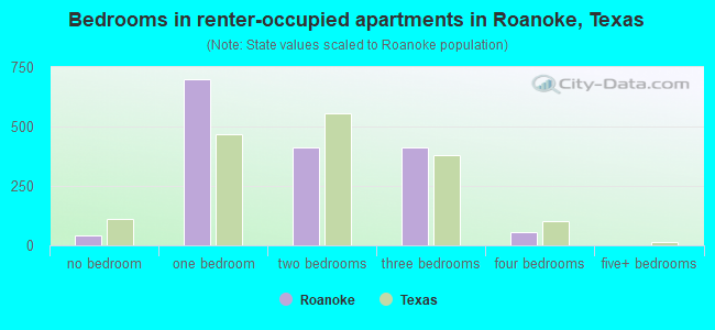 Bedrooms in renter-occupied apartments in Roanoke, Texas