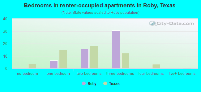 Bedrooms in renter-occupied apartments in Roby, Texas