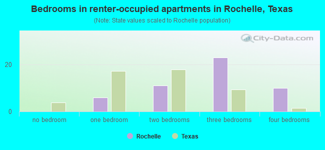 Bedrooms in renter-occupied apartments in Rochelle, Texas