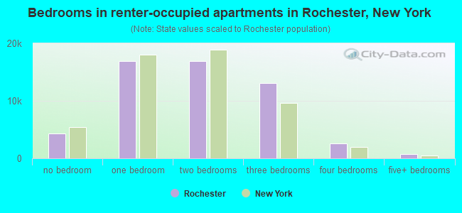 Bedrooms in renter-occupied apartments in Rochester, New York