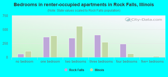 Bedrooms in renter-occupied apartments in Rock Falls, Illinois