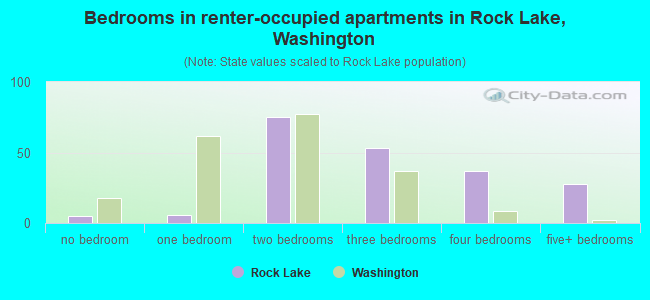 Bedrooms in renter-occupied apartments in Rock Lake, Washington