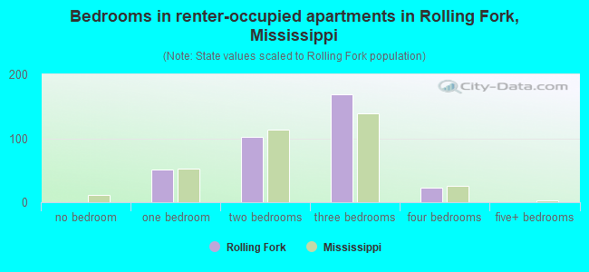 Bedrooms in renter-occupied apartments in Rolling Fork, Mississippi