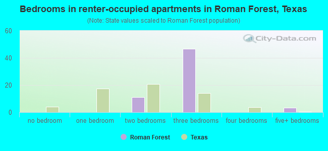 Bedrooms in renter-occupied apartments in Roman Forest, Texas