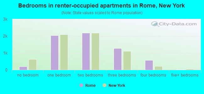 Bedrooms in renter-occupied apartments in Rome, New York