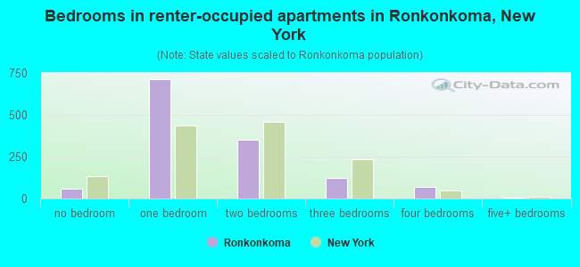 Bedrooms in renter-occupied apartments in Ronkonkoma, New York