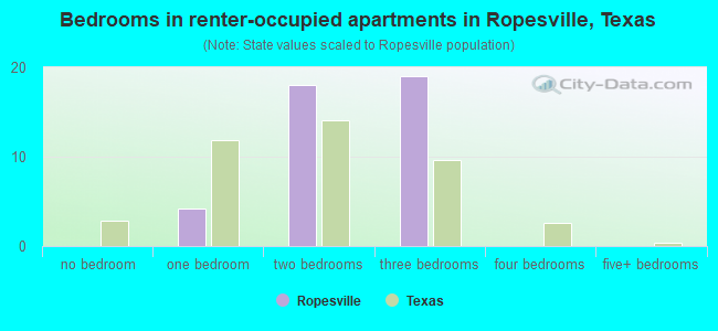 Bedrooms in renter-occupied apartments in Ropesville, Texas