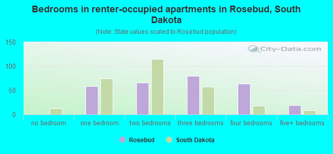 Bedrooms in renter-occupied apartments in Rosebud, South Dakota