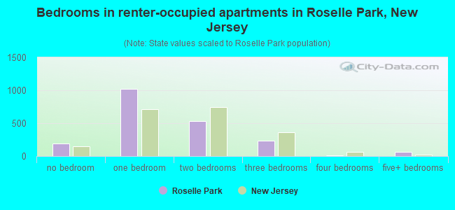 Bedrooms in renter-occupied apartments in Roselle Park, New Jersey