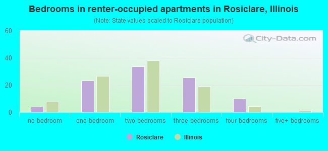 Bedrooms in renter-occupied apartments in Rosiclare, Illinois