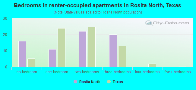 Bedrooms in renter-occupied apartments in Rosita North, Texas