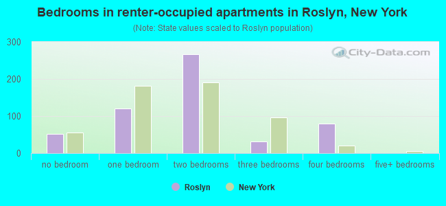 Bedrooms in renter-occupied apartments in Roslyn, New York