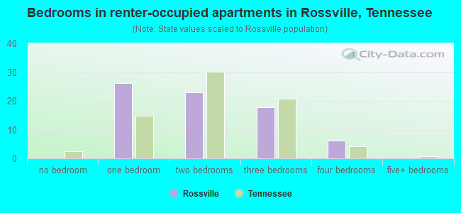 Bedrooms in renter-occupied apartments in Rossville, Tennessee