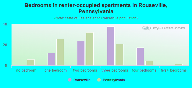 Bedrooms in renter-occupied apartments in Rouseville, Pennsylvania