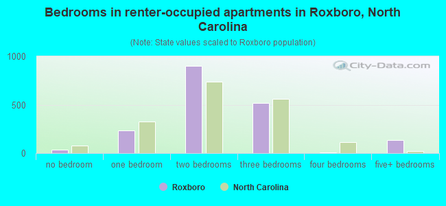 Bedrooms in renter-occupied apartments in Roxboro, North Carolina